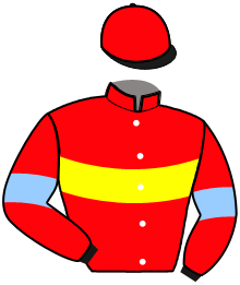 Casaque du n°1 — LEON AR