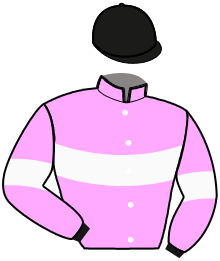 Casaque du n°1 — LAMBORGHINI BRANCH