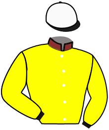 Casaque du n°4 — MARGARETA