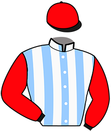 Casaque du n°11 — MEGINO