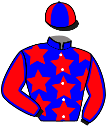 Casaque du n°3 — NUGGET RIVER