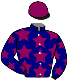 Casaque du n°7 — PREMIER VERT