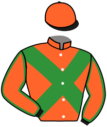 Casaque du n°6 — FLAVIUS