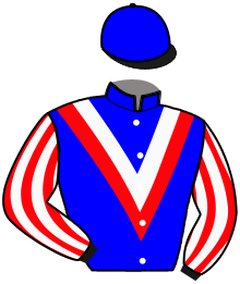 Casaque du n°9 — RUGER