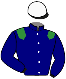 Casaque du n°1 — LEONARDO TURGOT