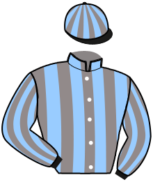 Casaque du n°10 — KRISTAL VICTORY