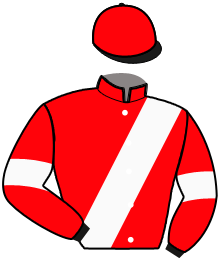 Casaque du n°8 — KING DE FOURCHES