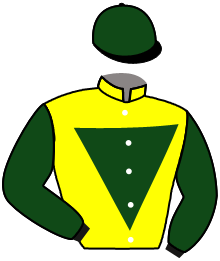 Casaque du n°2 — SASHA TREE