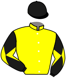 Casaque du n°9 — SCHIZZO
