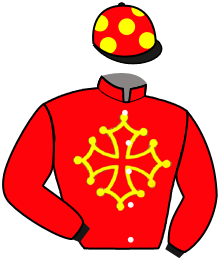 Casaque du n°6 — SAINTE CO