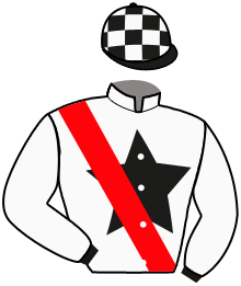Casaque du n°6 — SW AL SHAMEKH