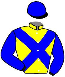 Casaque du n°1 — LISETTE D'ESTRUVAL