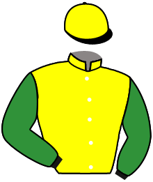 Casaque du n°6 — LEMON