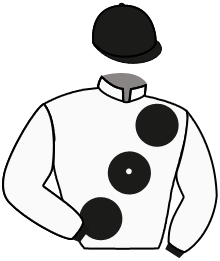 Casaque du n°5 — VIVIANA