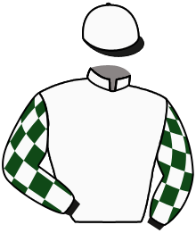 Casaque du n°11 — OR EVER