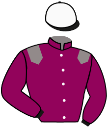 Casaque du n°1 — AL WIDYAN