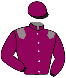 Casaque du n°5 — FARASAN