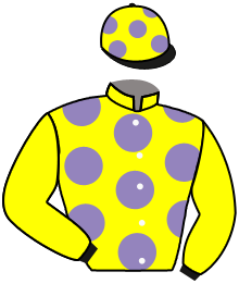 Casaque du n°1 — AIGEAS