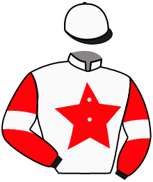 Casaque du n°3 — VIKTHOR