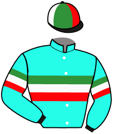 Casaque du n°3 — GLORIOSO RIM