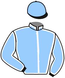 Casaque du n°1 — BELLA FIRENZE