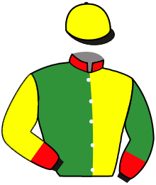 Casaque du n°1 — ANELKA