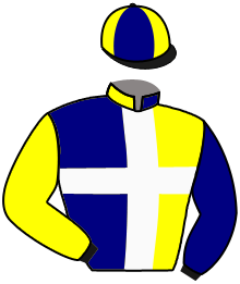 Casaque du n°2 — VILLABLINO