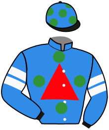 Casaque du n°8 — GIANT PAULO