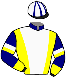 Casaque du n°2 — CINSAULT