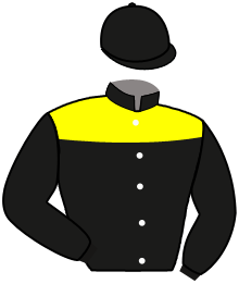 Casaque du n°3 — ZOFIN THOBO