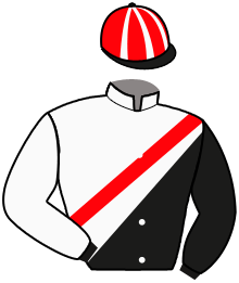 Casaque du n°4 — VANILLA RUN
