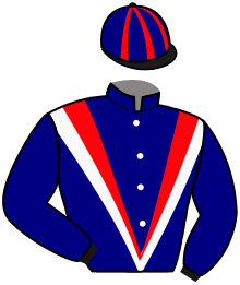 Casaque du n°7 — MAVERICK MELODY