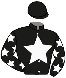 Casaque du n°3 — SUPER RAFALE