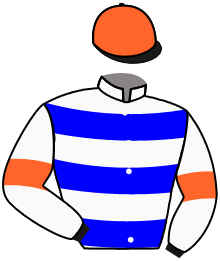 Casaque du n°3 — HIJO DEL REY