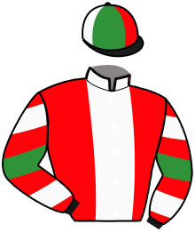 Casaque du n°5 — OCHO DE ABRIL