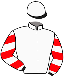 Casaque du n°10 — LOULOU'S TEAM