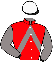 Casaque du n°9 — LARGO FLIGNY