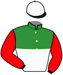 Casaque du n°10 — LUGER