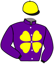 Casaque du n°11 — JAVA DU VERTAIN
