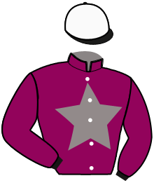 Casaque du n°7 — HARLEY DU RAFHAY
