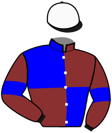 Casaque du n°9 — LEADER DE CERISY