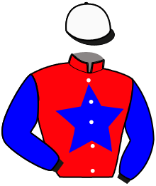 Casaque du n°4 — MUSTANG DV