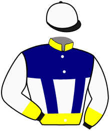 Casaque du n°8 — US DARBY