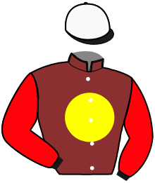 Casaque du n°2 — SAICAN BUTTERFLY
