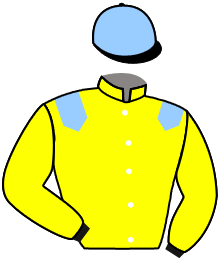 Casaque du n°3 — ATIKA