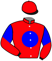 Casaque du n°2 — VEGA'S MUSE