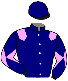 Casaque du n°3 — GRAN VENTURA