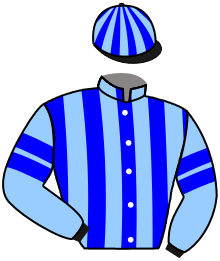 Casaque du n°2 — RIGEL BLUE