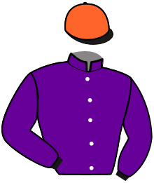 Casaque du n°7 — IOLAS
