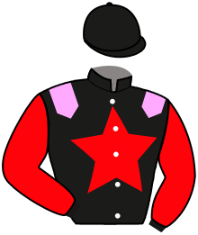 Casaque du n°13 — NOROIS D'AVIGNERE